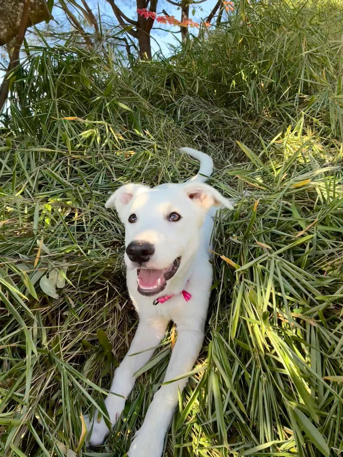Ben — foto 4
