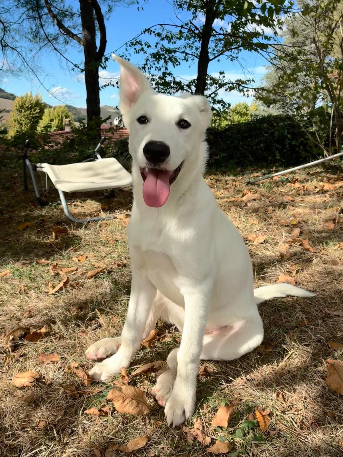 Ben — foto 2